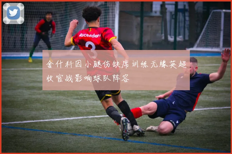 舍什科因小腿伤缺席训练无缘英超收官战影响球队阵容