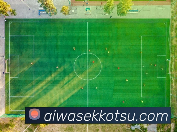 完美体育网址全站App